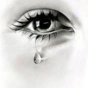 Meet your Posher, Roberta